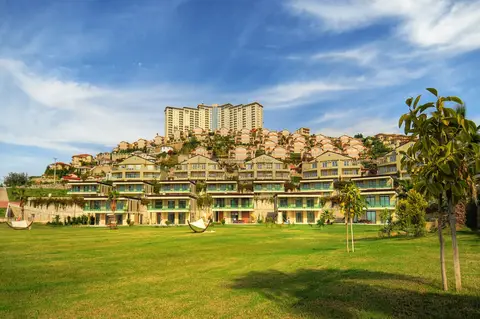Goldcity, Kargicak