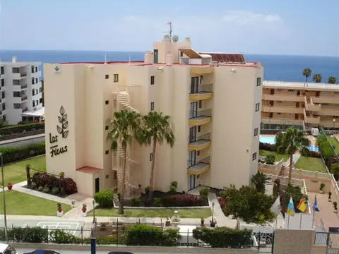 Los Ficus, Playa del Ingles