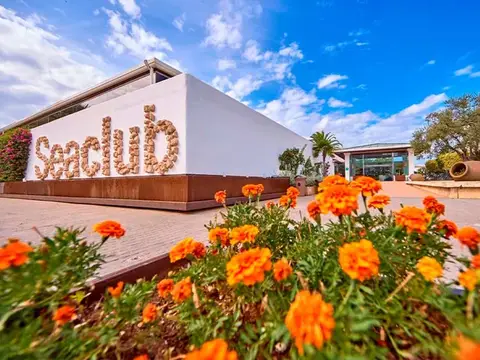 Seaclub Alcudia Mediterranean Resort, Port d'Alcúdia