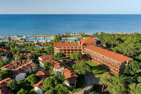 Papillon Belvil, Belek