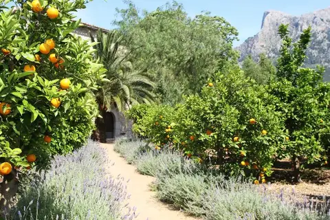 Ca's Curial, Puerto de Sóller
