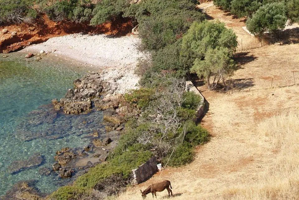 Fly & Go Cretan Village, Agios Nikolaos