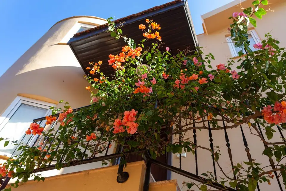 Goldcity Villas, Mahmutlar