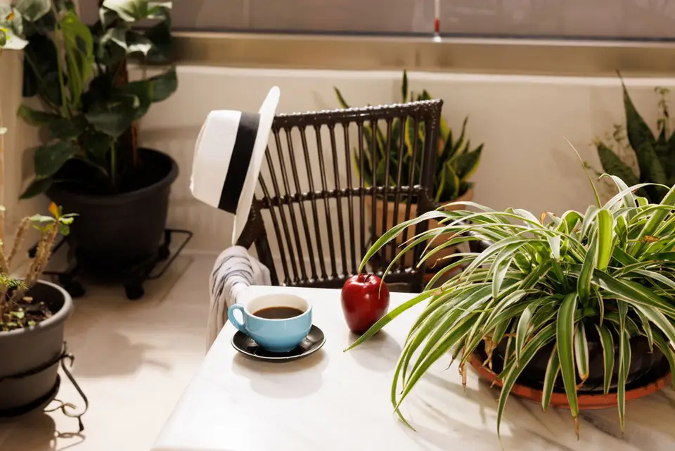 Jolly Suites, Heraklion