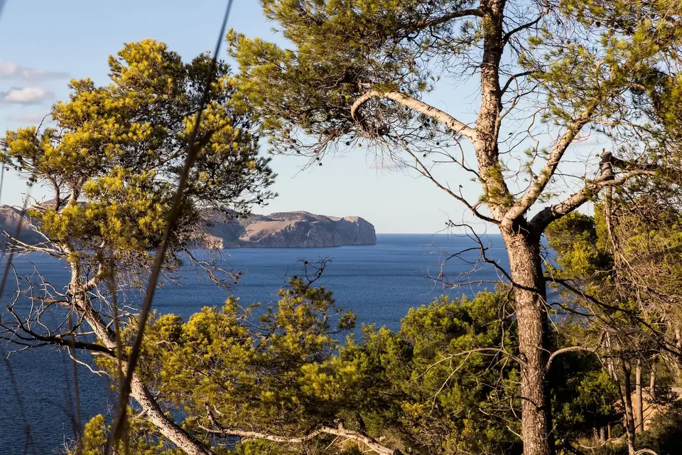 La Victoria Hostatgeria, Alcúdia