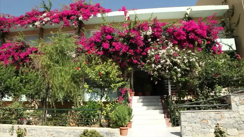 Dedalos Beach Hotel, Sfakaki
