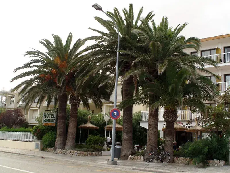 Cabot Romantic, Port de Pollença