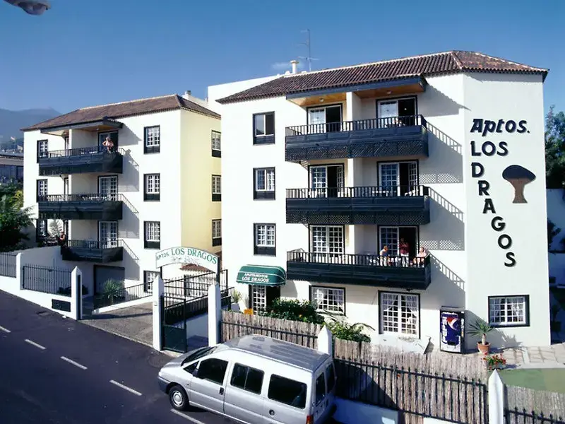 Dragos del Norte, Puerto de la Cruz
